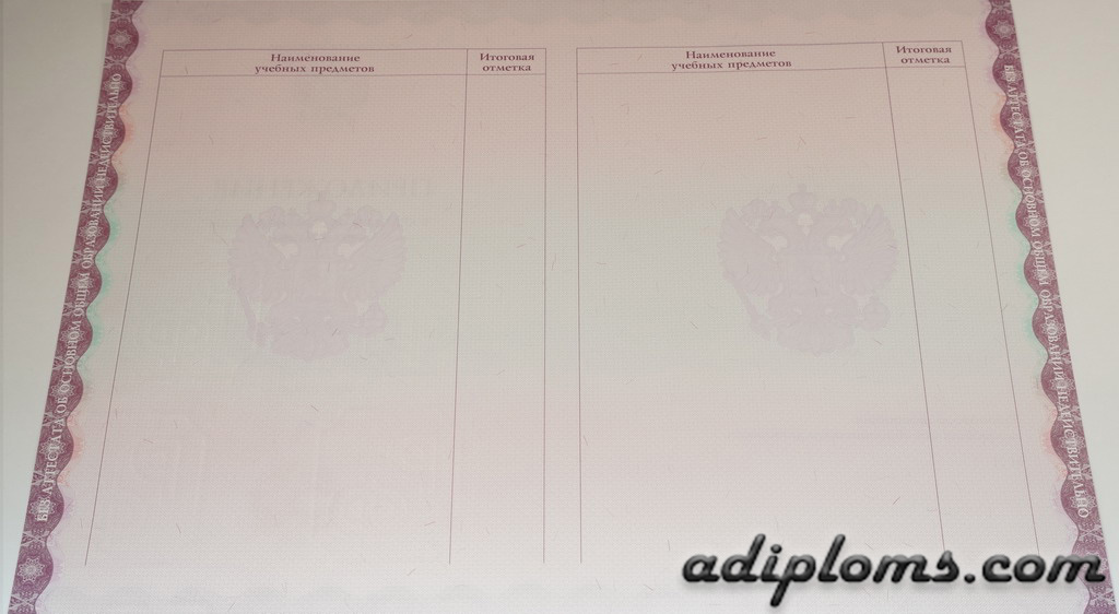 Аттестат 9 классов 2014-2026 Фото